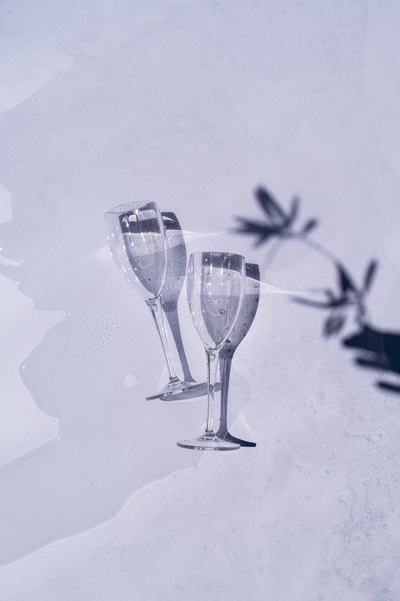 flûtes à champagne transparentes incassables, ombre de feuilles